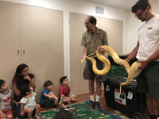 Brian and Ben hold up a massive albino Burmese python.