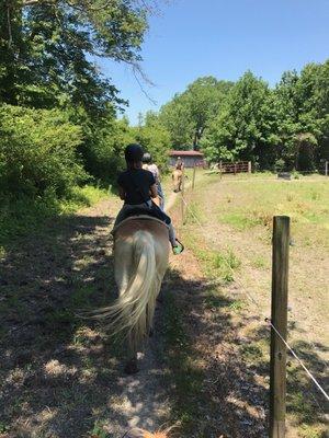 On the trail at Pheiffer Riding Stables