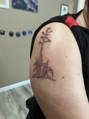 Tattoo of agave plant on upper right arm