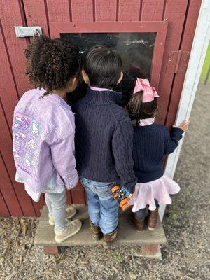 Counting the freshly laid hens' eggs