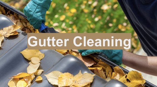 gutter cleaning