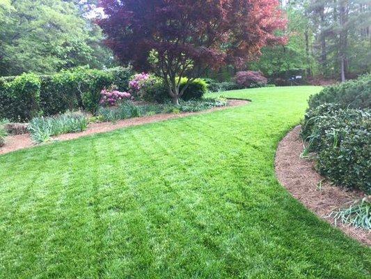 One of our customers' beautiful lawn!