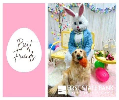 Easter bunny photos!