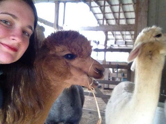 Me & Jack the Alpaca!