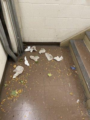 This is the stairwell by an entry/exit door at 3231 Euclid Ave at MFPR. It's filthy always and Loyola doesn't care.