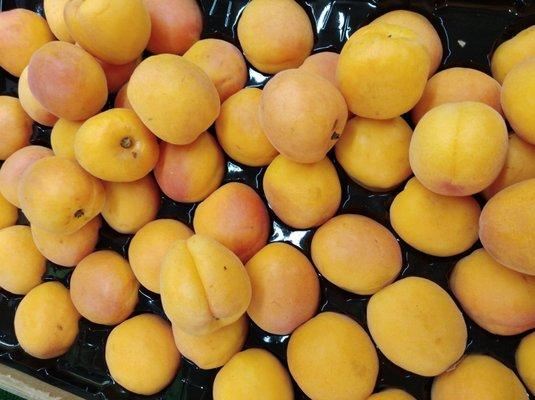 Apricots!!