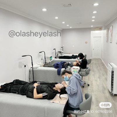 OLash Eyelash 