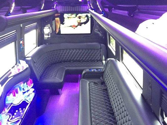 10 passenger Party Sprinter