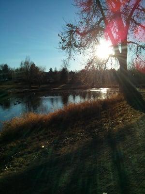 Bench to sit on and watch the geese on the pond.