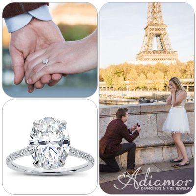 Dana proposed to his girlfriend Christine with our oval cut R2972- French Cut Basket Setting on a surprise trip to Paris!