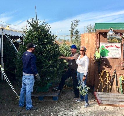 Giving our tree a little shake and jiggle.