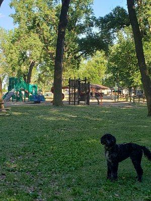 Playground equipment