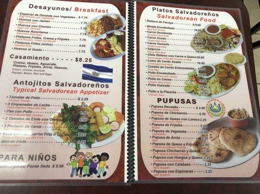 The Pupusas and Platinos as are amazing!