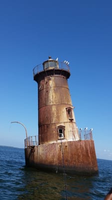 Sharps island light