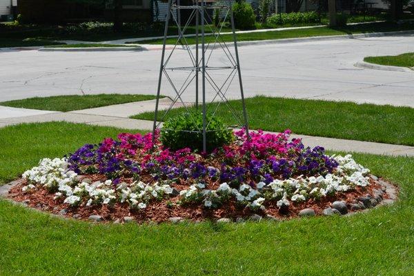 Last years flowers. Buy from them every year, also had them plant a Dog wood tree.
 It's doubled in size in 10 years, and blooms every year.