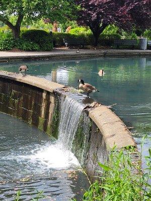 The "waterfall" at Baxter Pond Park.