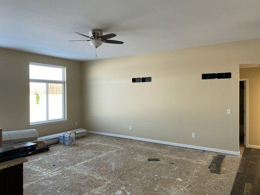 Painted walls thru living room