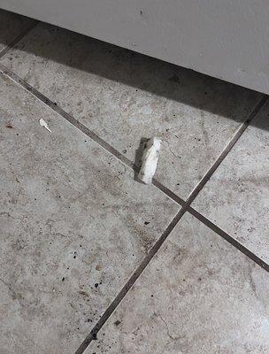 I move the refrigerator to sweet found Two tampons along with a lot of food and just nasty