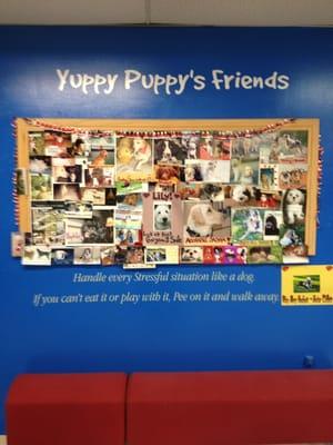 People love Yuppy Puppy so much they bring in photos for the staff.