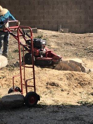 Grinding stump