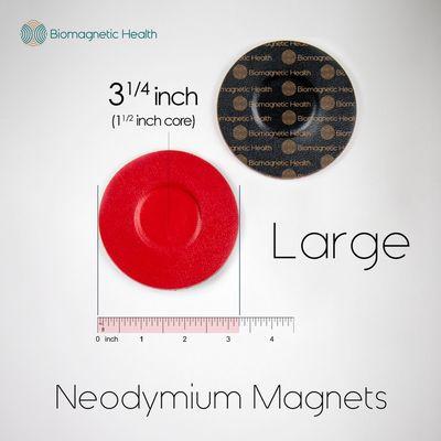 Large Biomagnetic Magnets