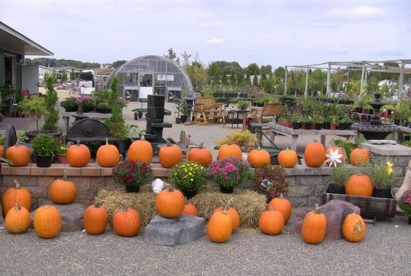 Reedsburg Garden Center- Trees, shrubs & supplies.