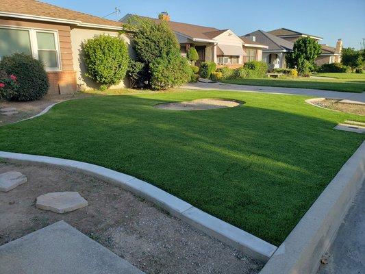 Artificial turf (Napa) with concrete border