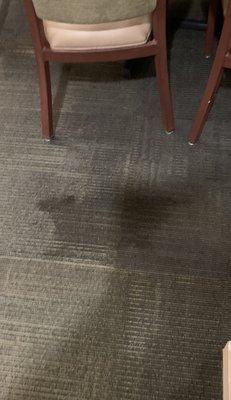 Standard carpet stains, community room (dining area).