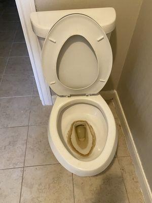 Deep clean Toilets