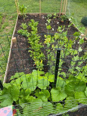 American Composting