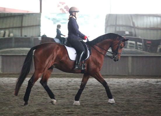 Indoor arena with high performance footing, wall to wall mirrors at the end and excellent lighting for evening riding.