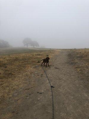 Walking up the hill to the open space