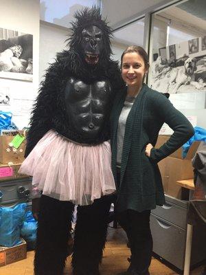 Gorilla in a pink tutu