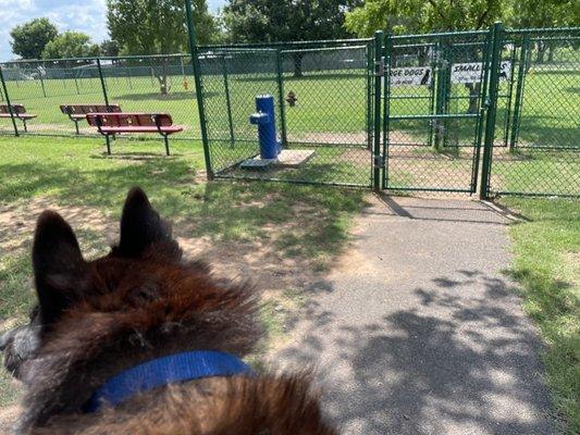 This is our 134th dog park, I think, I'm losing track - July 2021.