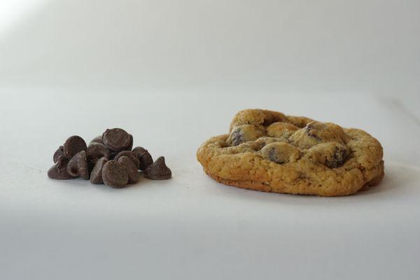 Chocolate Chip