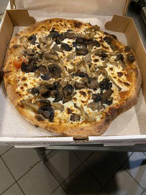 Fungi pizza