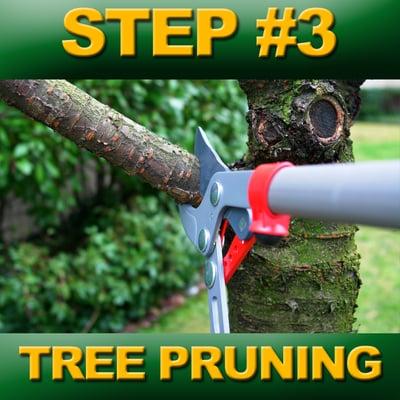 Tree Service Dallas