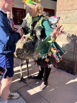 The emu made its way to the stage and started dancing; I swear I'm not making this up