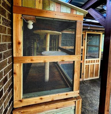 Custom "catio", dog house on the "first floor", plenty of platforms for the cats, AND a "cat-cam"!