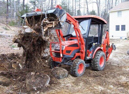 Stump Removal on Whidbey