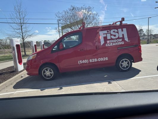 Fish Window Cleaning