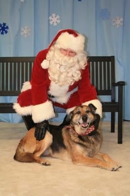 Holly was adopted, and her new parents decided to take her to the WHS Santa Paws event to mark the special occasion with a photo