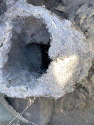 True story, if you haven't had a dryer vent cleaning in a few years or longer, you could have this type of lint buildup!