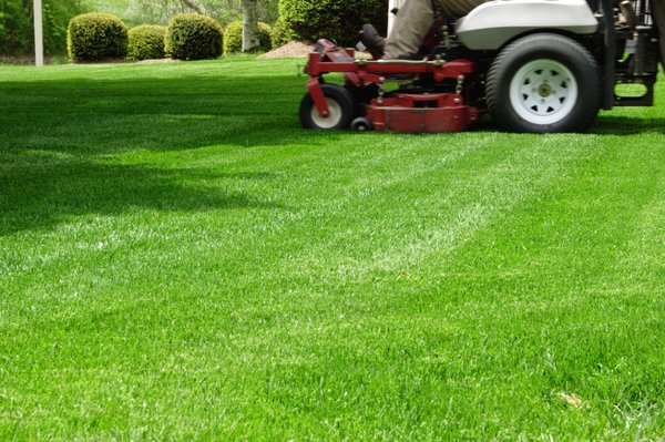 Weekly and Bi-Weekly Lawn Mowing Packages