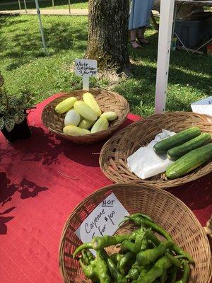 White cucumbers