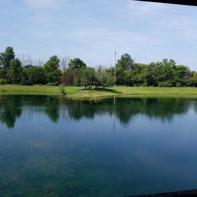 remote shelter for those who don't mind hauling their stuff around the pond