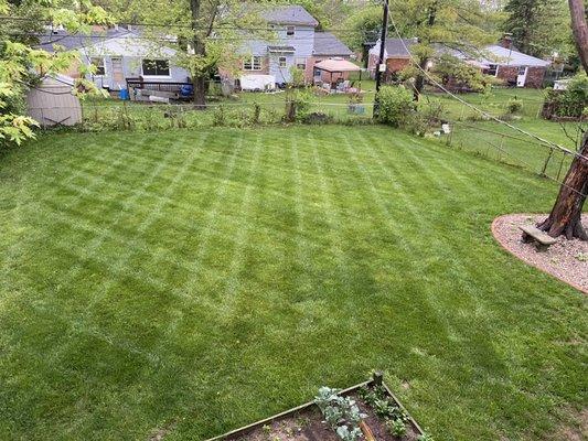 RC Landscaping & Lawncare