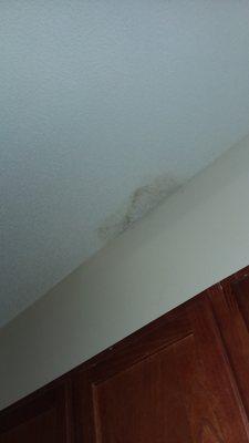 Leaks in the ceiling that they refused to fix even after 1 1/2 years