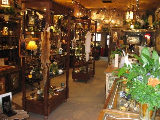 Wynbrier Ltd Wildlife Gallery