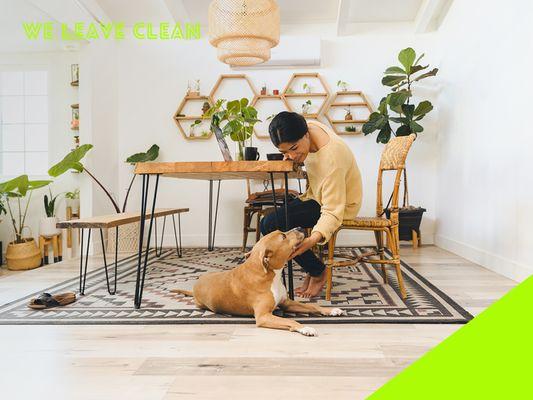 Working from home is a breeze in a spotless space! Enjoy a clean environment and the company of your furry friend.